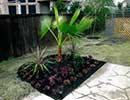 Tropical Landscaping 6