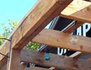 Arbor 6
