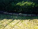 Stone Edging 5