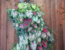 Flower Bed Wall 1