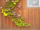Flower Bed Wall 2