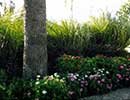 State Fair Flower Bed 2