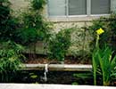 Fountain 3