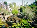 Fountain 6