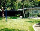 St. Augustine Grass 1