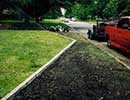 St. Augustine Grass 3
