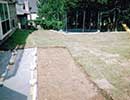 Bermuda Grass 2
