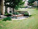 Bermuda Grass 3