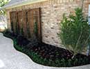 Native Landscaping 2