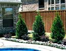 Native Landscaping 5