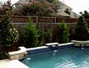 Native Landscaping 6