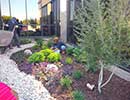 Native Landscaping 7