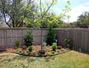 Native Landscaping 9