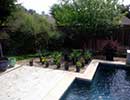 Native Landscaping 11