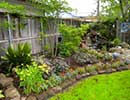 Shade Landscaping 1