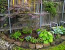 Shade Landscaping 2