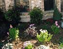 Shade Landscaping 4