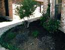 Shade Landscaping 6