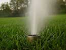 Sprinkler 3