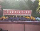State Fair Flower Bed 3