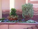 State Fair Flower Bed 4