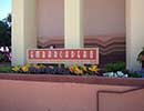 State Fair Flower Bed 5