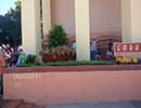 State Fair Flower Bed 6