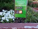 State Fair Flower Bed 8