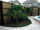 Tropical Landscaping 1
