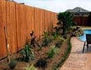 Tropical Landscaping 2