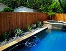 Xeriscaping 1