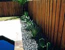 Xeriscaping 2