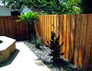 Xeriscaping 3