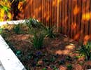 Xeriscaping 5