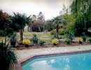 Xeriscaping 6